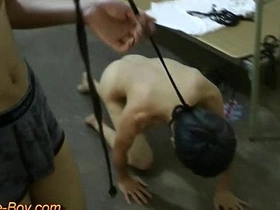 Young gay slave boys in bondage get trained like dogs